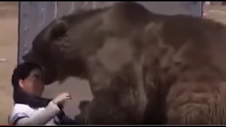 Grizzly Bear Attack  Rips Head Off on Live TV Show [upl. by Sargent]