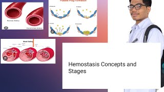 Hemostasis Physiology  Concepts and Mechanisms [upl. by Dorothee]