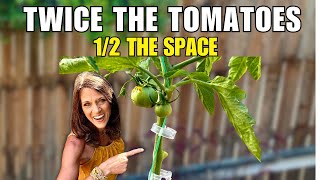 How to Grow Twice the Tomatoes in12 the Space [upl. by Atirak]