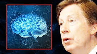 The TOP SUPPLEMENTS to Keep Your Brain Sharp  Dr Dale Bredesen [upl. by Zitah407]