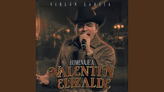 Homenaje a Valentín Elizalde En Vivo [upl. by Babbie]