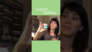 OILS Laurus Nobilis  Bay Laurel Young Living [upl. by Kentigera]