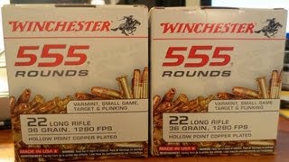 22LR Ammo is Plentiful in Canada the UK and Australia [upl. by Eibrab]