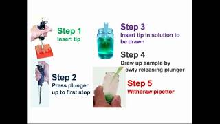 Steps Work of Micropipette [upl. by Krauss]