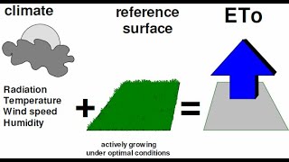 🔴Reference Evapotranspiration ETo explained ⛅️🌤 [upl. by Aikar]