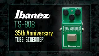 Tube Screamer Shoot Out  TS9 vs TS808  Which Do You Prefer [upl. by Amadis]