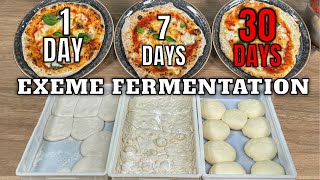 I Fermented Pizza Dough To The Limit [upl. by Willett152]