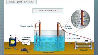 How to perform electrolysis of Water I Class 10 Science I Chapter 1 activity 17 I NCERT I [upl. by Lilias]