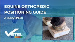 Equine Radiograph Positioning Guide For Veterinarians [upl. by Euqinmod]