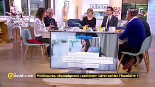 Moisissures champignons  comment lutter contre lhumidité [upl. by Ytsirt]