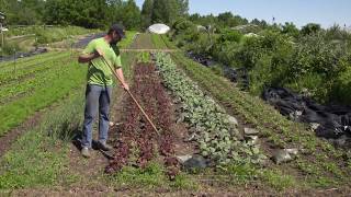 The Market Gardeners Masterclass Tools [upl. by Kaitlin]