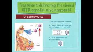 A level R7 Cystic fibrosis and gene therapy Ms Cooper [upl. by Cini]