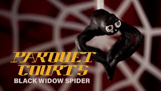 Parquet Courts  quotBlack Widow Spiderquot Official Music Video [upl. by Jamison]