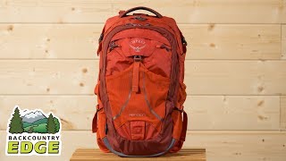 Osprey Pandion Day Pack [upl. by Chrotoem153]