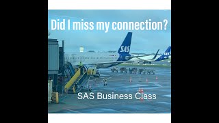 Trip Report DID I MAKE MY CONNECTION  SAS European Business Class Copenhagen to London A320 NEO [upl. by Negriv125]