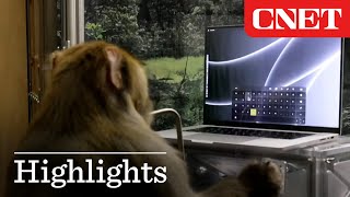 Elon Musk Shows Latest Neuralink Demo of Monkey Typing with its Mind [upl. by Ahsiuqel935]