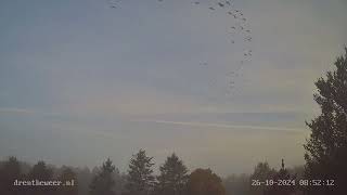 Timelapse weerstation Gasselternijveenschemond 26102024 [upl. by Japha]