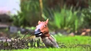 The BEST squirrel feeder is a HORSEHEAD squirrel feeder [upl. by Ormiston]