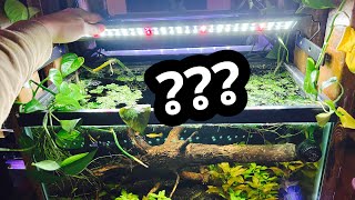 Aquarium light stopped working Flickering [upl. by Lovash]