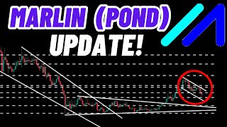 Marlin POND Crypto Coin Update [upl. by Tnek]