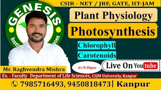 Photosynthesis  Chlorophyll  Carotenoids  Plant Physiology  CSIR NETJRF  IITJAM [upl. by Schroeder]