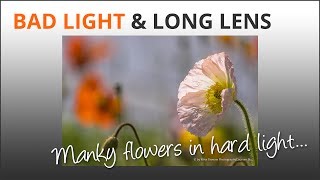 Photography Tips Bad Light Long Lens amp Flowers [upl. by Kiona]