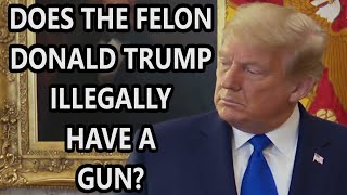 Felon Donald Trump Gun Crime [upl. by Ravahs]