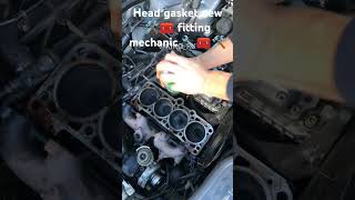 Head gasket new fitting mechanic 🔧🧰🛠️ funnyvodeo businessstartednewspareparts fullspeedhandbrake [upl. by Wurtz142]