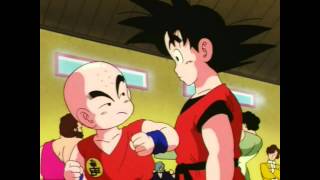 Bola de Drac  En Goku i la Chichi adolescents [upl. by Newman376]