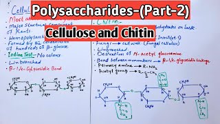 PolysaccharidesCellulose amp Chitin Jiyas Biology Tutorials [upl. by Onairda]