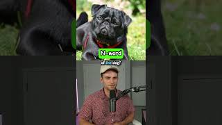 Guess The YouTuber By Their Pet [upl. by Airb]