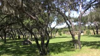 Kilimanjaro Safaris  Complete Ridethrough 1 of 2  Disneys Animal Kingdom  Walt Disney World [upl. by Refinne]