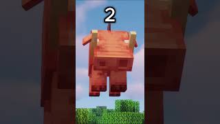 Minecraftta Bilinmeyen 3 Şey  Part 4 shorts minecraft minecraftmemes [upl. by Ahsurej]