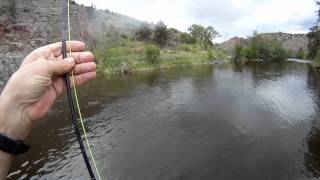 Fly Fishing  3Wt Rod [upl. by Grubb]