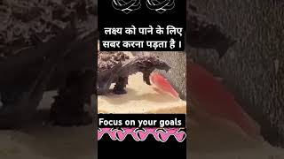 Focus on your goalsviralreels facts aivoice shortsvideo popular trending motivation [upl. by Leahcimauhsoj]