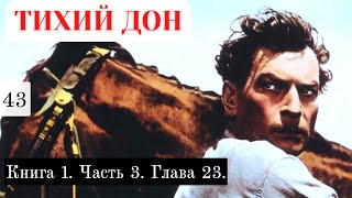 «Тихий Дон»  Подробный пересказ  Книга 1 Часть 3 Глава 23 [upl. by Rexford]