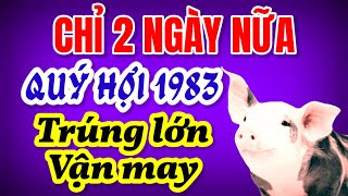 Cơ hội đổi đời cho Quý Hợi 1983 đấy Tử vi báo hiệu trước may mắn ngập tràn sau 2 ngày nữa [upl. by Mariejeanne]