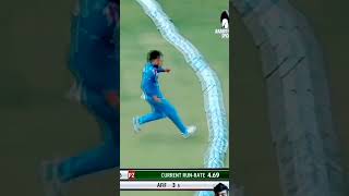 Towhid Hridoys 51 Runs Against Afghanistan afganistan bangladesh cricketlover everyone [upl. by Iran476]