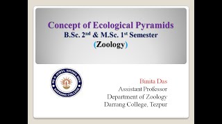 Concept of Ecological Pyramids [upl. by Aurelea]