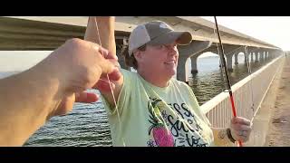 Pinfish MANIA we couldnt get away from the pinfish fishing pinfish beaufortsc broadriverpier [upl. by Benn945]