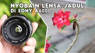 Tes Lensa Jadul Super Takumar 35mm F35 di Kamera Mirrorless Sony A6000 [upl. by Noteek647]