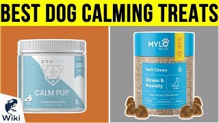 10 Best Dog Calming Treats 2019 [upl. by Elleivad]