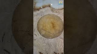 Unbelieveable dirty carpet washing satisfying rug cleaning ASMRshorts [upl. by Yemaj]