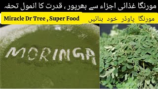 Moringa Powder  Drumstick Leaves Powder  How To Make Moringa Powder [upl. by Ynaffit86]