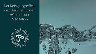 Der Reinigungseffekt und die Erfahrungen während der Meditation AYP Level 1  Deutsch  Preview [upl. by Thorstein644]