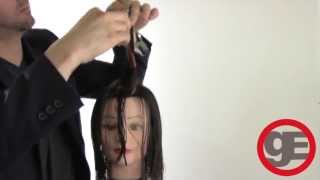 LONG LAYER HAIRCUT WITH FACE FRAME FROM FREESALONEDUCATIONCOM [upl. by Ymmij]