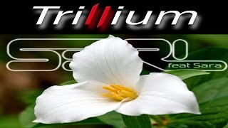 Trillium  S3RL feat Sara [upl. by Eilegna]