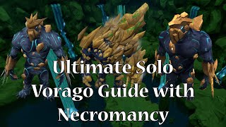 The Ultimate Solo Vorago Guide with Necromancy [upl. by Jessika]