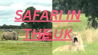 Woburn Safari Park  Safari Park vlog  Drive thru Animals in UK [upl. by Tterb866]