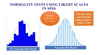 Normality Test with Likert Scale Data in SPSS [upl. by Geibel628]